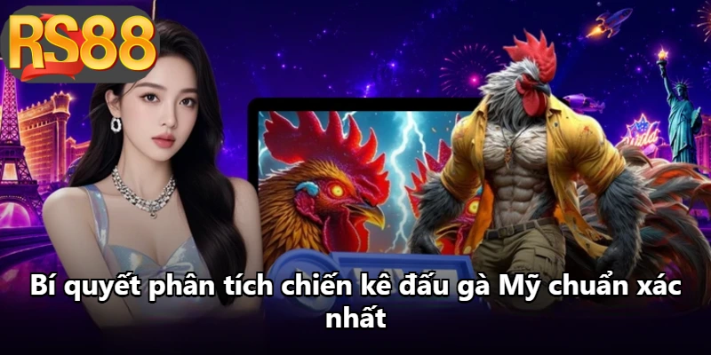 Bí quyết phân tích chiến kê đấu gà Mỹ chuẩn xác nhất Bí quyết phân tích chiến kê đấu gà Mỹ chuẩn xác nhất