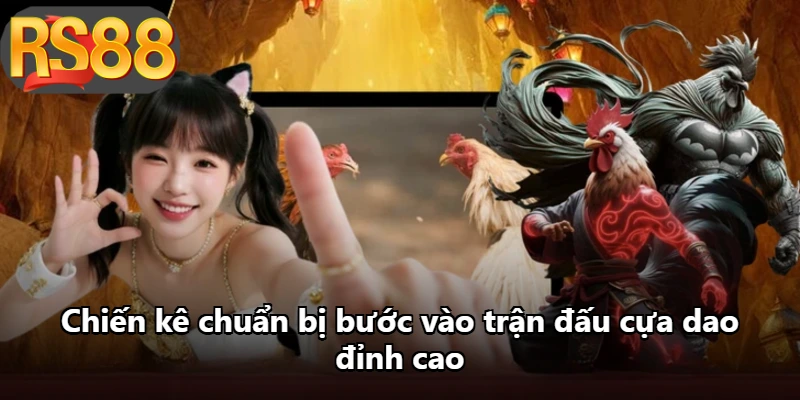 Chiến kê chuẩn bị bước vào trận đấu cựa dao đỉnh cao Chiến kê chuẩn bị bước vào trận đấu cựa dao đỉnh cao
