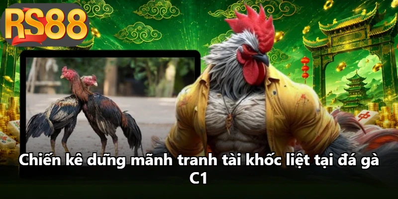 Chiến kê dũng mãnh tranh tài khốc liệt tại đá gà C1 Chiến kê dũng mãnh tranh tài khốc liệt tại đá gà C1