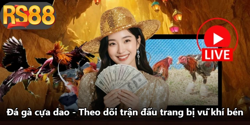 Đá Gà Cựa Dao - Theo Dõi Trận Đấu Trang Bị Vũ Khí Bén