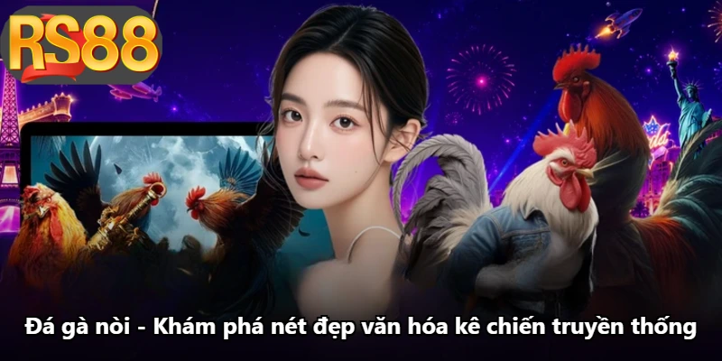 Đá Gà Nòi - Khám Phá Nét Đẹp Văn Hóa Kê Chiến Truyền Thống