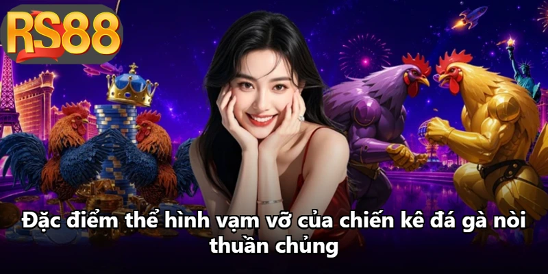 Đặc điểm thể hình vạm vỡ của chiến kê đá gà nòi thuần chủng Đặc điểm thể hình vạm vỡ của chiến kê đá gà nòi thuần chủng
