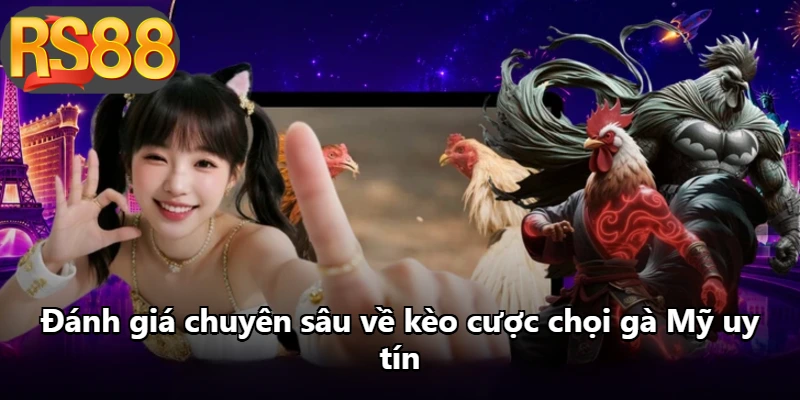 Đánh giá chuyên sâu về kèo cược chọi gà Mỹ uy tín Đánh giá chuyên sâu về kèo cược chọi gà Mỹ uy tín