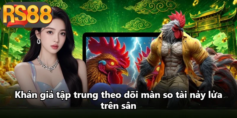 Khán giả tập trung theo dõi màn so tài nảy lửa trên sân
