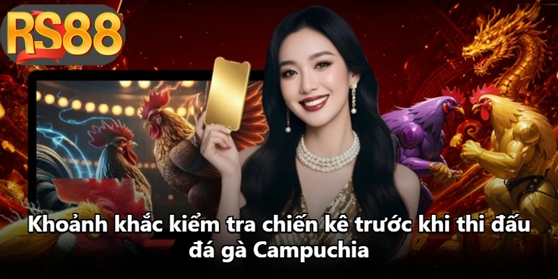 Khoảnh khắc kiểm tra chiến kê trước khi thi đấu đá gà Campuchia Khoảnh khắc kiểm tra chiến kê trước khi thi đấu đá gà Campuchia