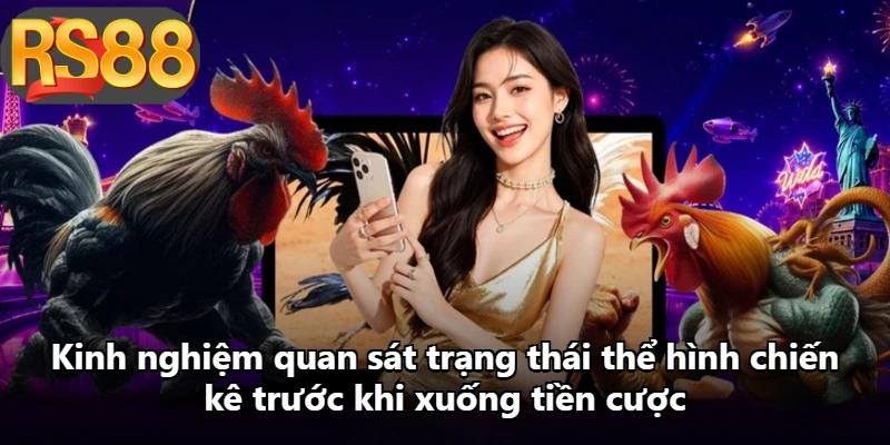 Kinh nghiệm quan sát trạng thái thể hình chiến kê trước khi xuống tiền cược