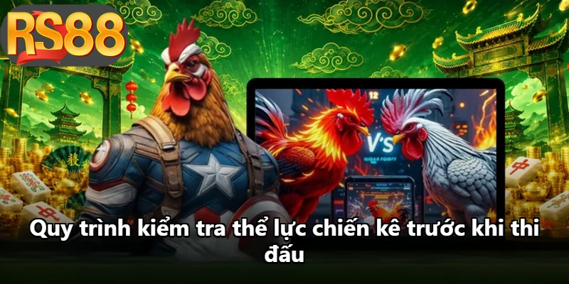 Quy trình kiểm tra thể lực chiến kê trước khi thi đấu Quy trình kiểm tra thể lực chiến kê trước khi thi đấu