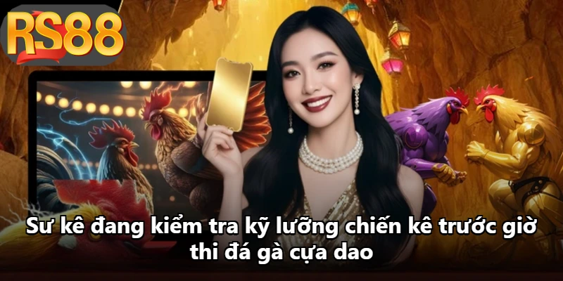 Sư kê đang kiểm tra kỹ lưỡng chiến kê trước giờ thi đá gà cựa dao Sư kê đang kiểm tra kỹ lưỡng chiến kê trước giờ thi đá gà cựa dao