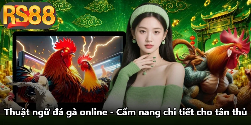 Thuật Ngữ Đá Gà Online - Cẩm Nang Chi Tiết Cho Tân Thủ
